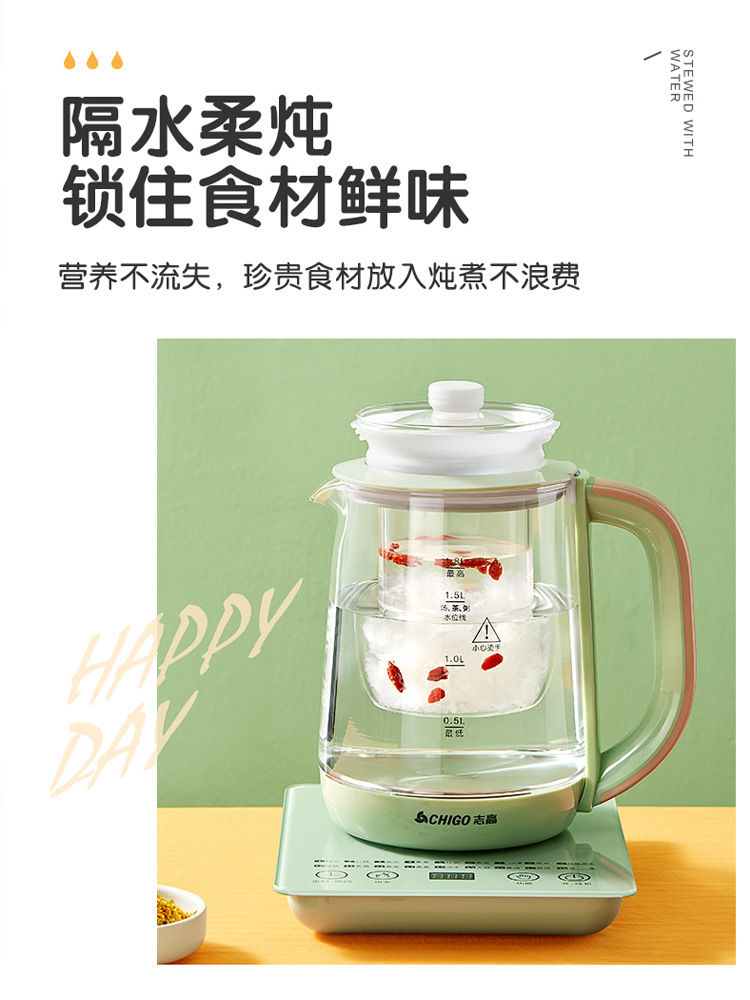110v health pot automatic multifunctional tea maker electric kettle small household appliances - Image 3