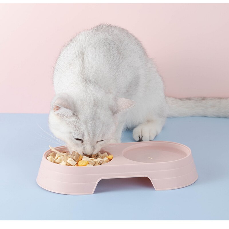 Macaron Pet Double Bowl Plastic Kitten Dog Food Drinking Tray Feeder Cat Feeding Pet Supplies Accessories - Image 4
