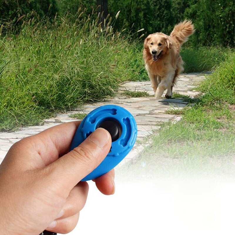 Pet Cat Dog Training Clicker Plastic New Dog Click Trainer Portable Auxiliary Adjustable Wristband Sound Key Chain Dog Supplies - Image 4